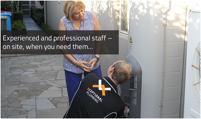 experienced and professional staff